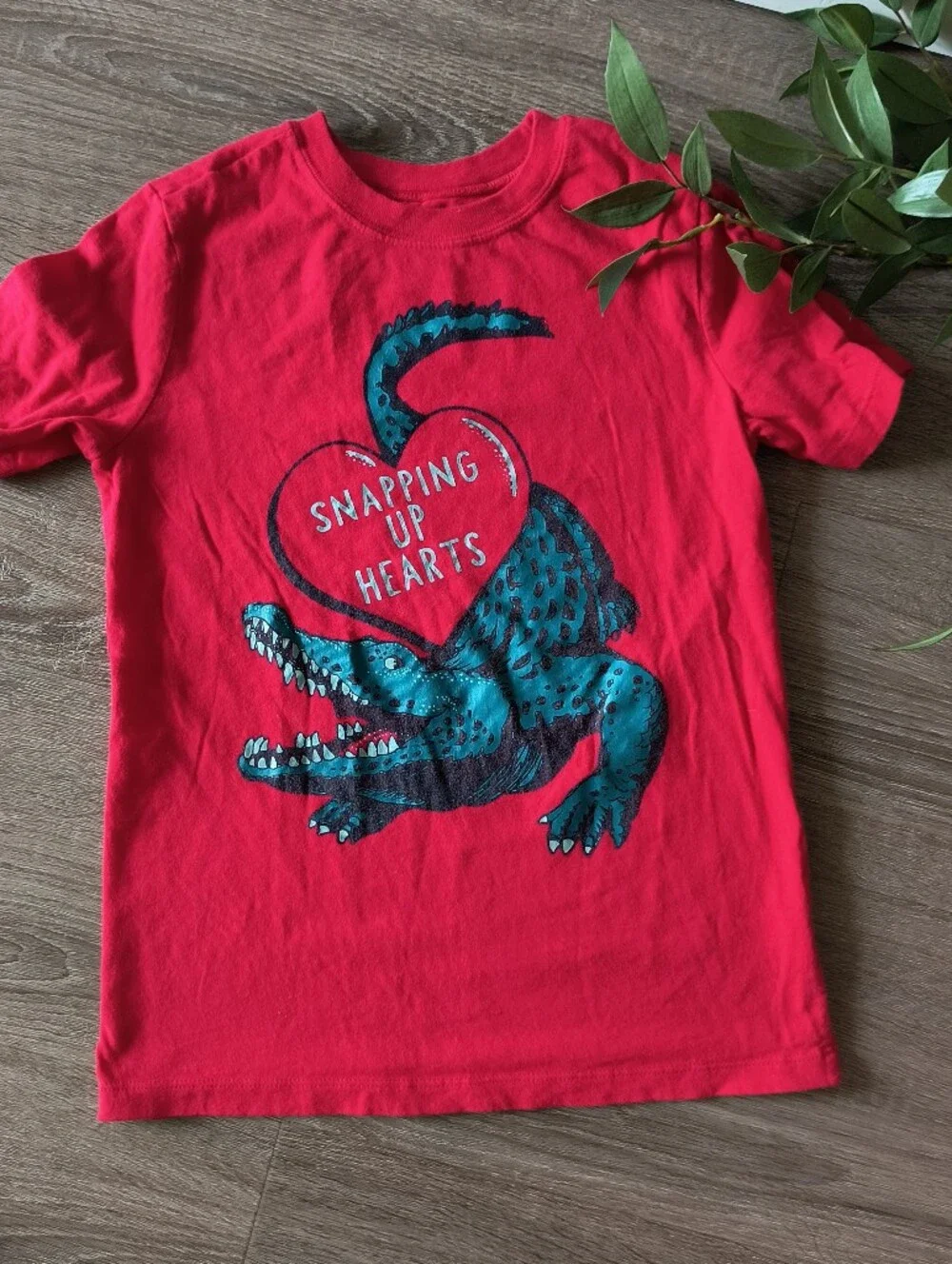 Carter's Boys Graphic Tee Alligator Valentine's Day Heart Shirt Size 7 Red